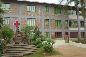 Istituzione del Fondo Missioni AMOC – Assicurazione Malati Opere Camilliane